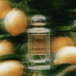 Nobile 1942 Vespri Esperidati EDP - Ảnh 4