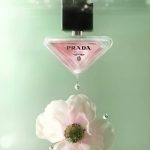Prada Paradoxe Virtual Flower - Ảnh 8