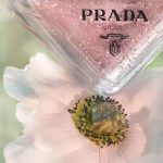 Prada Paradoxe Virtual Flower - Ảnh 7