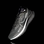 Giày Nike Pegasus Trail 4 GTX "Black Silver" - DJ7926-001 - Ảnh 2